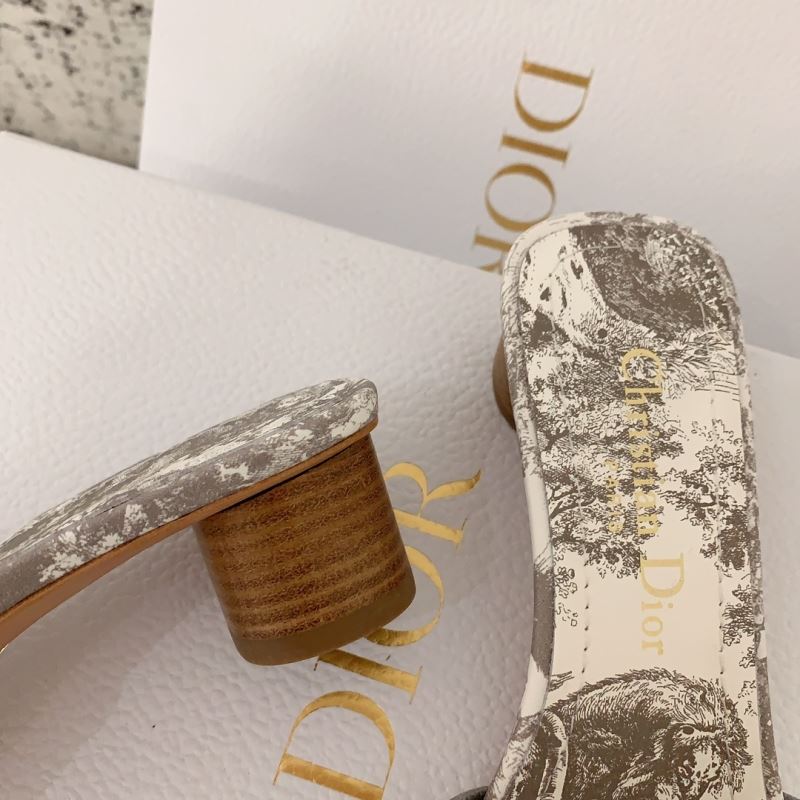 Christian Dior Slippers